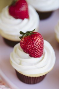 the tomkat estudio 2