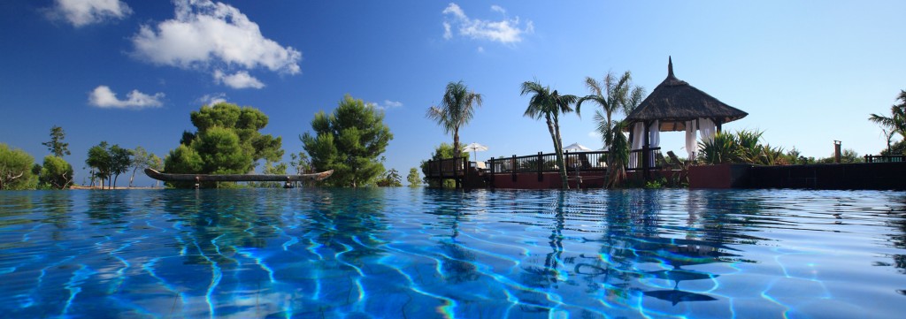 asia gardens vista piscinas